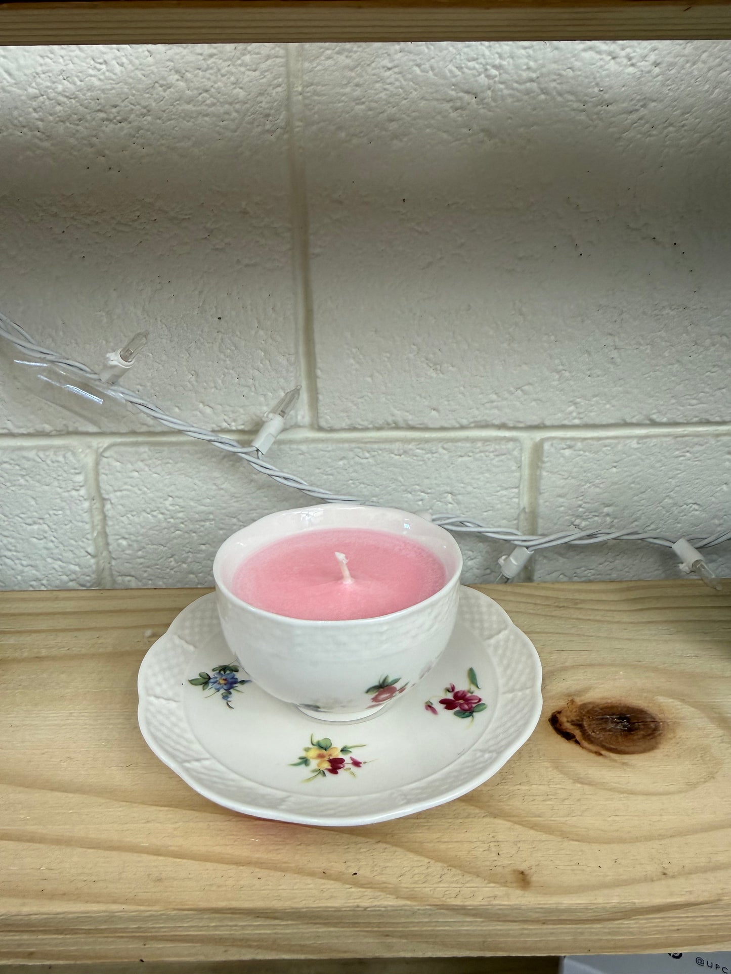 Candle And Plate- Spotlight Artist Emily Varga (Watermelon)