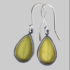 Orange-barred Sulphur Butterfly Earrings