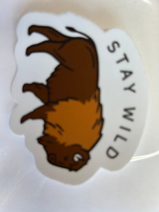 Stay Wild Sticker