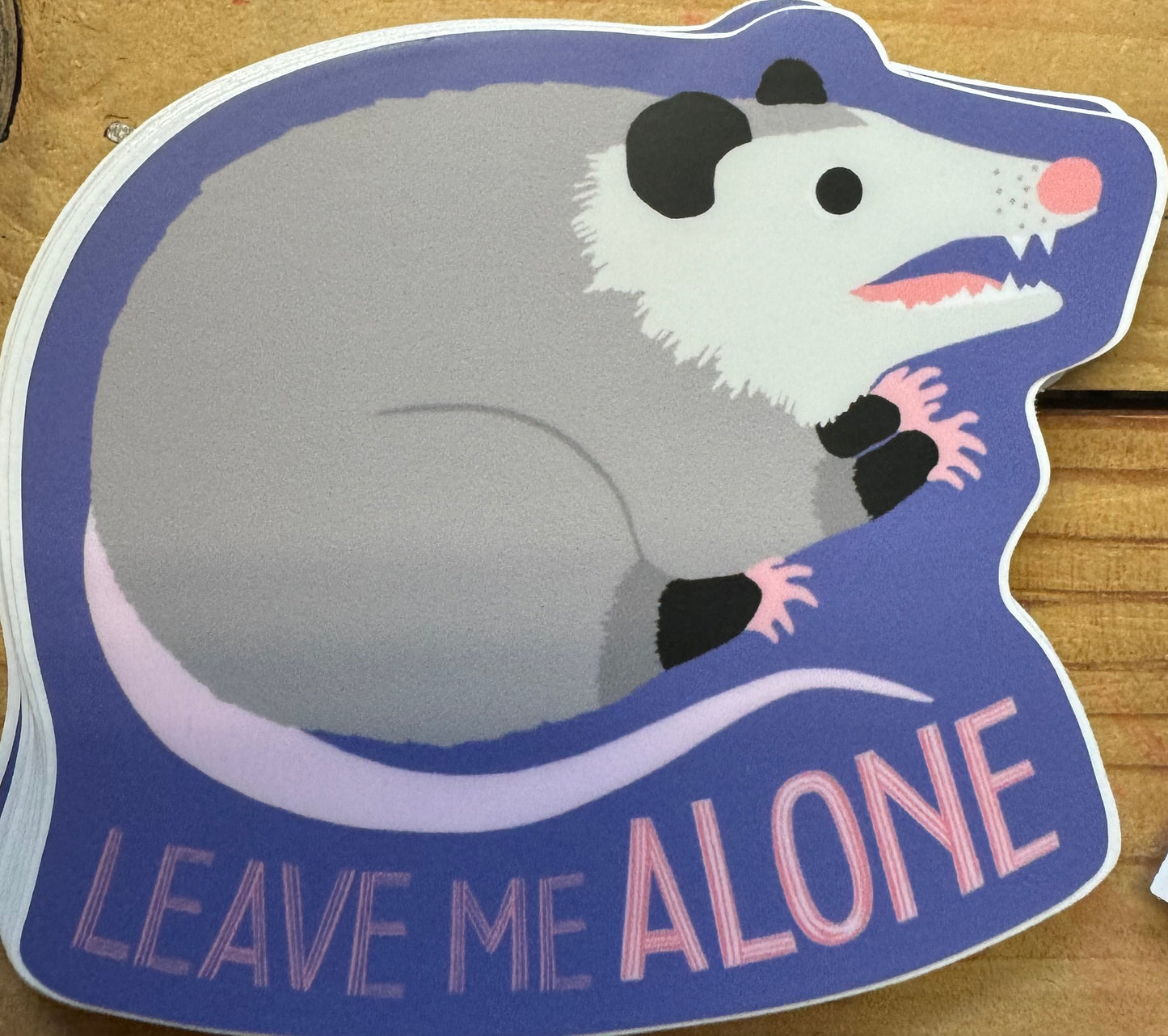 Leave Me Alone Possum Sticker