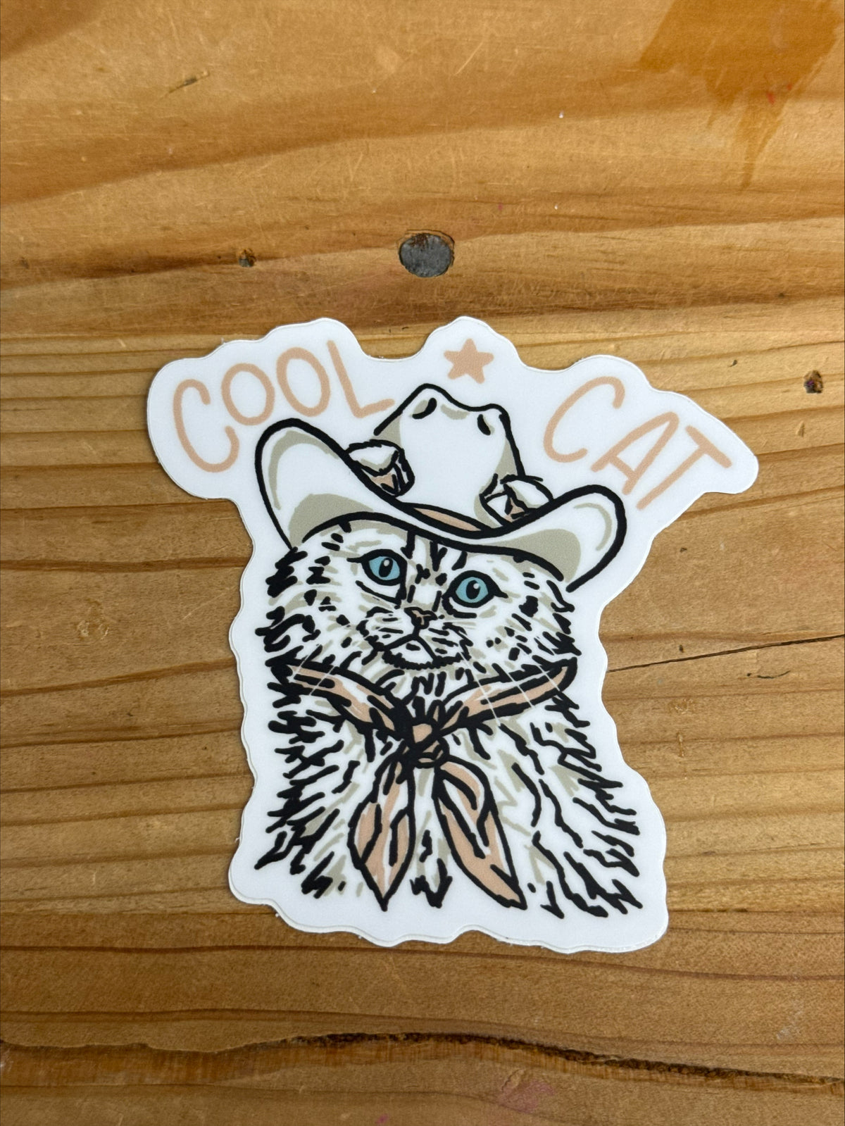Cool Cat Sticker